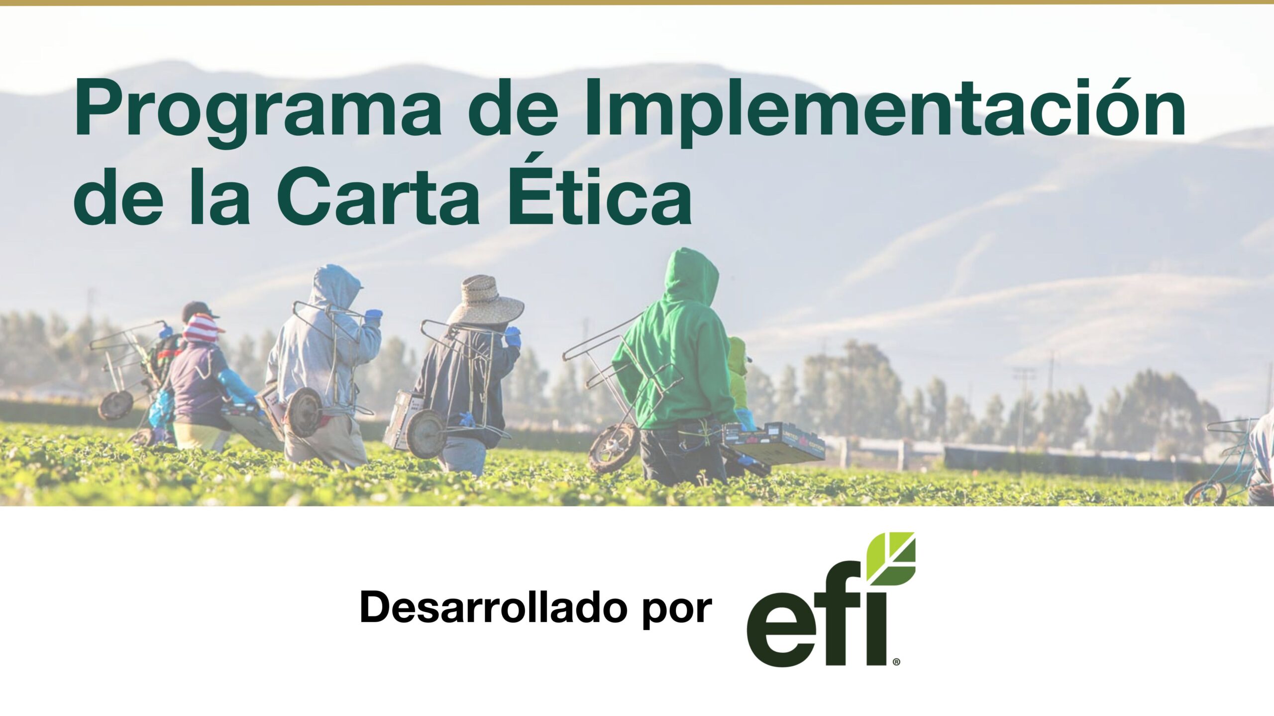 ECIP banner in Spanish with logo of company powering the program